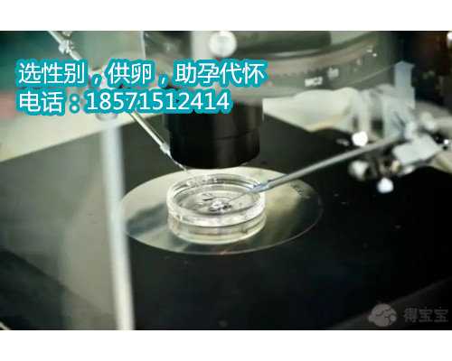 杭州借卵代孕多少钱,人工流产手术无痛人流后注意的事项