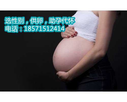 杭州借卵生子服务,卵巢储备如何影响美国试管婴儿