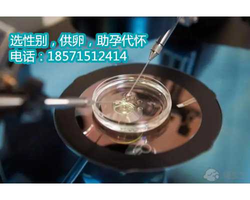 杭州代怀孕保密咨询,贵州第三代试管婴儿医院排名是怎样的